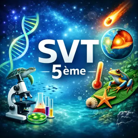 5ème