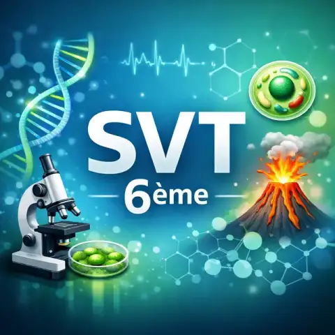 6ème
